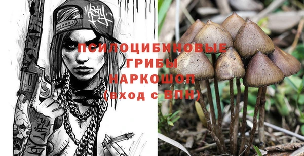 меф Инсар