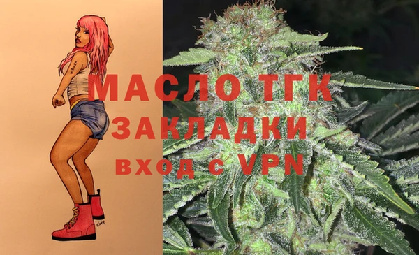 спайс Инта