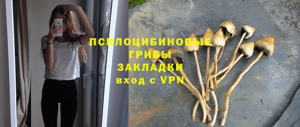 меф Инсар