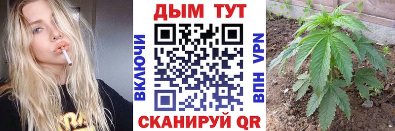 Каннабис MAZAR  OMG tor  Сусуман  где продают  